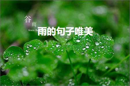 制作推广网站 雨的句子唯美（文案615条）